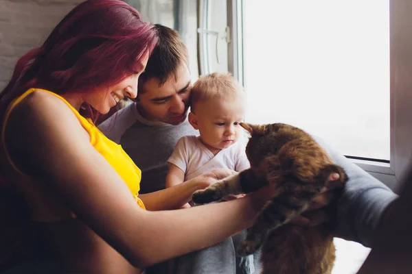 Young father and mother playing with son and cats. — Stock Photo, Image