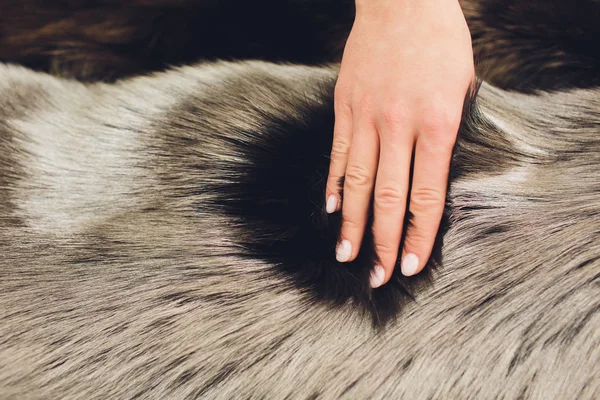 Closeup of natural silver fox fur. Nice background. — Stock Photo, Image