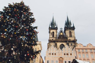 Prag, Çek Cumhuriyeti büyülü şehirde Noel ağacı.