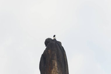 Güneşli bir günde Prag Charles Köprüsü'nde Barok heykeller.