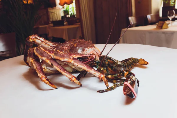 Crabe royal et homard vivent l'un en face de l'autre sur un fond blanc . — Photo