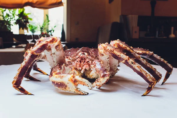 Rei caranguejo vivo em fundo branco sucinto. deitado sobre a mesa contra o fundo do restaurante — Fotografia de Stock