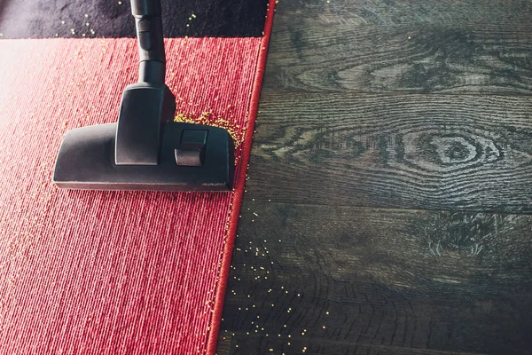 Dark head of a modern vacuum cleaner being used while vacuuming a rug. Cleaning service concept. Process carpet with vacuum cleaner.