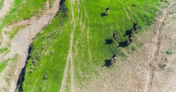 traditional game in Tajikistan, fighting on horseback.