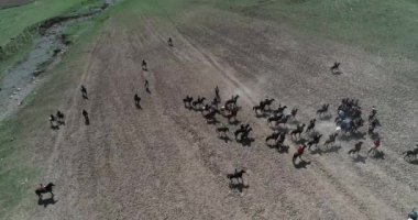 At sürüsi Tacikistan'daki Karakol festivalinde geleneksel oyun sırasında drone Korkmuş at tan görünümü bacaklarının üzerinde duruyor. Bu byt keçi leşi korktum.