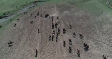 At sürüsi Tacikistan'daki Karakol festivalinde geleneksel oyun sırasında drone Korkmuş at tan görünümü bacaklarının üzerinde duruyor. Bu byt keçi leşi korktum.