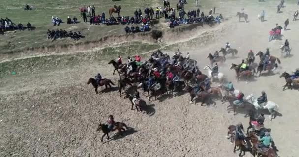Во время традиционной игры на Каракольском фестивале в Таджикистане стадо лошадей с дрона "Испуганная лошадь" стоит на ногах. Он был напуган тушей козы. . — стоковое видео