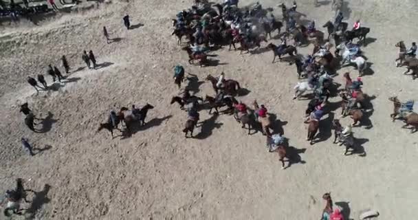 Во время традиционной игры на Каракольском фестивале в Таджикистане стадо лошадей с дрона "Испуганная лошадь" стоит на ногах. Он был напуган тушей козы. . — стоковое видео