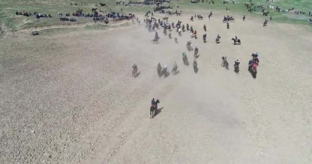 Flock hästar Visa från Drone skrämd häst står på benen under traditionella spel på Karakol Festival i Tadzjikistan. Det var skrämt Byt getkadaver. — Stockvideo