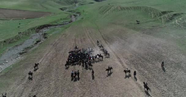 Pferdeherde mit Blick von Drohnen verängstigt Pferd steht auf seinen Beinen während des traditionellen Spiels beim Karakol-Festival in Tadschikistan. Es hatte Angst vor Ziegenkadavern. — Stockvideo