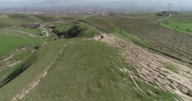 Murghab, Tacikistan yakınlarındaki bir alanda at. Arka planda dağların üzerinde gökyüzünde ağır gri bulutlar vardır. Atlar yemyeşil bir tarlada..