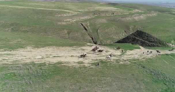 Murghab, Tacikistan yakınlarındaki bir alanda at. Arka planda dağların üzerinde gökyüzünde ağır gri bulutlar vardır. Atlar yemyeşil bir tarlada.. — Stok video