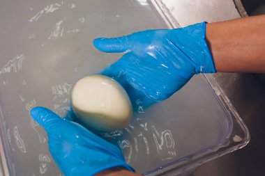 Mozzarella peyniri üretim süreci, peynir yapma süreci.