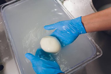 Mozzarella peyniri üretim süreci, peynir yapma süreci.