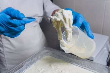 Geleneksel peynir yapımı bir küçük şirket. Peynir Maker eller yakın çekim üstten görünüm.