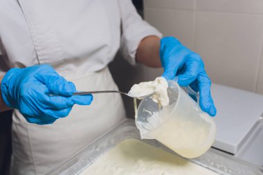 Geleneksel peynir yapımı bir küçük şirket. Peynir Maker eller yakın çekim üstten görünüm.