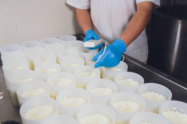 Küçük üretim çiftliğindeki plastik kalıplara peynir oluşturan bir adamın yakın çekim. asitlik kontrol ph marker.