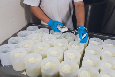 Küçük üretim çiftliğindeki plastik kalıplara peynir oluşturan bir adamın yakın çekim. asitlik kontrol ph marker.