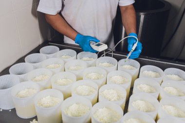 Küçük üretim çiftliğindeki plastik kalıplara peynir oluşturan bir adamın yakın çekim. asitlik kontrol ph marker.