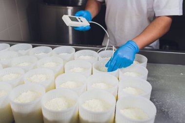 Küçük üretim çiftliğindeki plastik kalıplara peynir oluşturan bir adamın yakın çekim. asitlik kontrol ph marker.