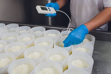 Küçük üretim çiftliğindeki plastik kalıplara peynir oluşturan bir adamın yakın çekim. asitlik kontrol ph marker.
