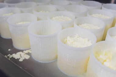 Küçük üretim çiftliğindeki plastik kalıplara peynir döken bir adamın yakın çekimi..