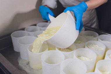 Küçük üretim çiftliğindeki plastik kalıplara peynir döken bir adamın yakın çekimi..