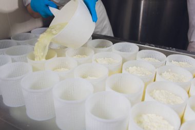 Küçük üretim çiftliğindeki plastik kalıplara peynir döken bir adamın yakın çekimi..