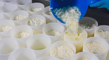 Küçük üretim çiftliğindeki plastik kalıplara peynir döken bir adamın yakın çekimi..