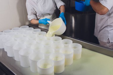 Küçük üretim çiftliğindeki plastik kalıplara peynir döken bir adamın yakın çekimi..
