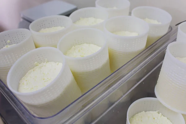 Traditional Cheese Making In A Small Company. Cheese Maker Hands Close-up Top View. — Stock Photo, Image