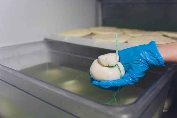 Процесс производства сыра моцарелла, процесс производства сыра . — стоковое фото
