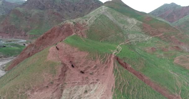 Horské jezero obklopené vrcholy a oslím se pasou na jeho březích, ve Fannské horách, Tádžikistán. — Stock video