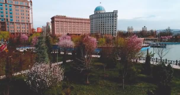 Душанбе, Таджикистан-12 серпня 2018: парк Рудакі та Національна бібліотека, Душанбе, Таджикистан, Центральна Азія. сучасні тонізуючі — стокове відео