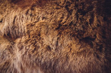 Ayı derisi ahşap duvarve bakır tavan ışıkları asılı.