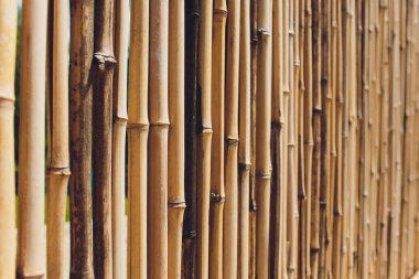 Arka plan için eski kahverengi ton bambu tahta çit dokusu.