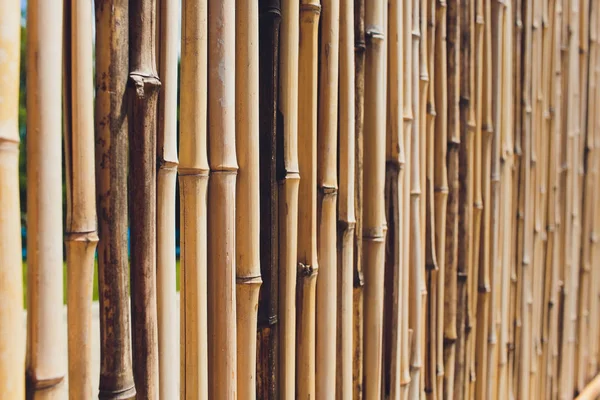 Viejo tono marrón bambú tablón cerca textura para fondo. — Foto de Stock