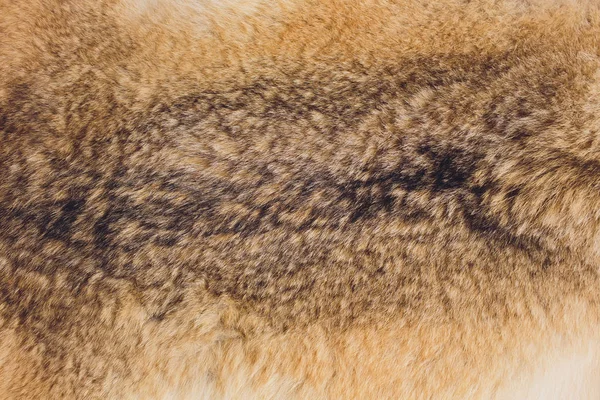 Textur aus natürlichem Kaninchenfell in Nahaufnahme. Hintergrund. — Stockfoto