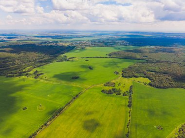 Parkın üst görünümü, Doğal çim dokusu.