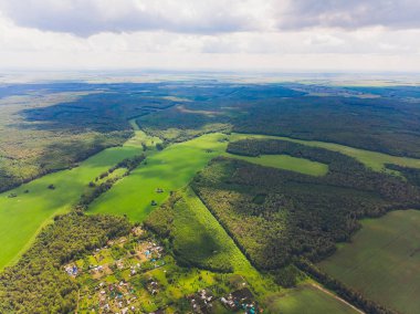Parkın üst görünümü, Doğal çim dokusu.