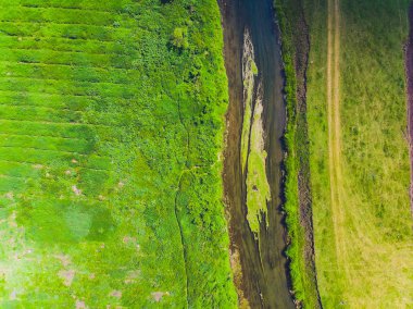 İnce bir nehir ve alanların etrafında üstten görünüm.