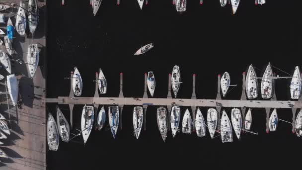 Aerial View by Drone of Yacht Club and Marina. Top view of yacht club. White boats in sea water. Marina dock yachts and small motor boats. Yacht and sailboat is moored at the quay. Parking. — Stock Video