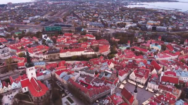 塔林城墙是爱沙尼亚塔林市周围建造的中世纪防御墙。塔林城墙。维珍塔尼西托内，塔林。少女塔. — 图库视频影像