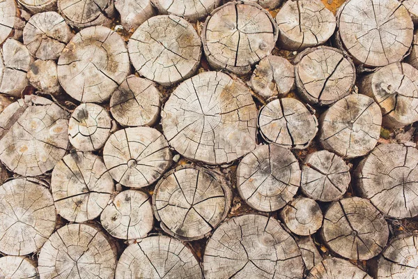 Logs. Log cuts Close Up. Stack of logs. Stack of firewood close up. Logs cuts prepared for fireplace. Woodpile. Wood for fireplace. Wood for winter. Firewood background.