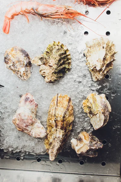 Ostras frescas no gelo no mercado de frutos do mar . — Fotografia de Stock