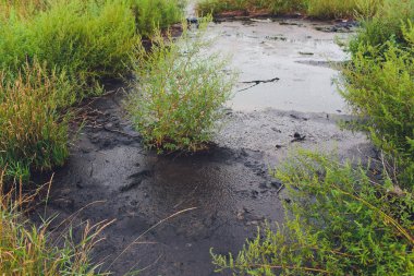 Nehirdeki siyah su ve kirlilik fabrikanın atıktan kaynaklanmaktadır..