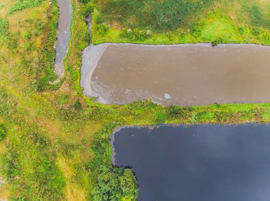 Çöp ve sudaki yapraksız ağaçların yansıması. Çevre kirliliği. Su kirliliği.