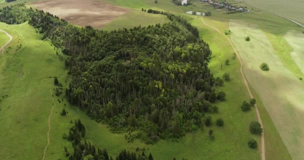 Bosque de picea cerca de la costa del lago Morskoy Glaz o Sea Eye, pueblo Shariboksad, Mari El Republic, Rusia. Los bosques de abetos son muy típicos de la naturaleza de la región y muy populares entre los turistas locales. . — Vídeos de Stock