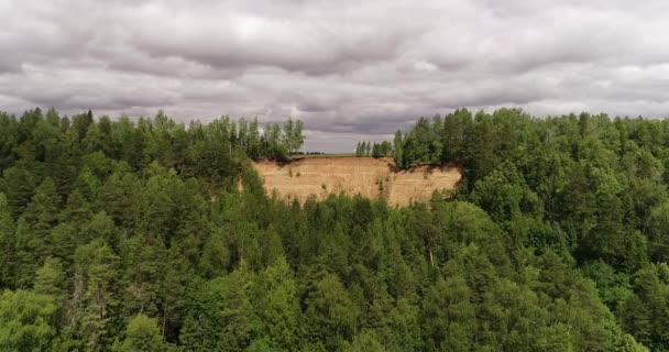 Forêt d'épinettes près de la côte du lac Morskoy Glaz ou Sea Eye, village Shariboksad, République de Mari El, Russie. Les forêts d'épinettes sont très typiques de la nature de la région et très populaires parmi les touristes locaux . — Video