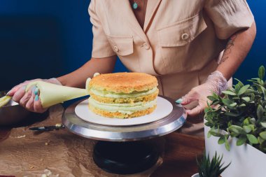 kadın elleri bir pişirme spatula kullanarak beyaz krema ile bisküvi kek yapma.